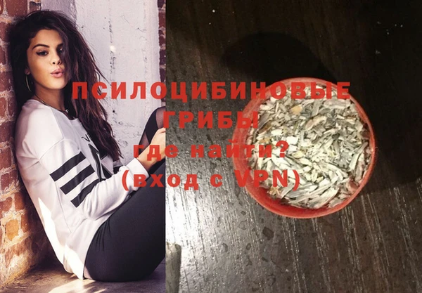 дживик Инсар
