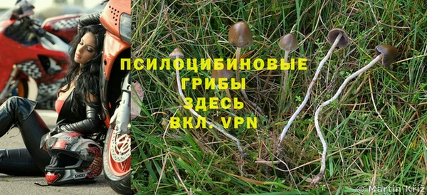 марки lsd Инта