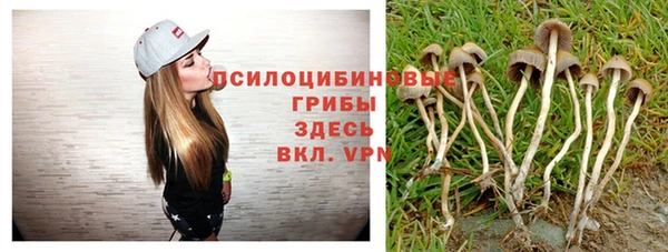 дживик Инсар