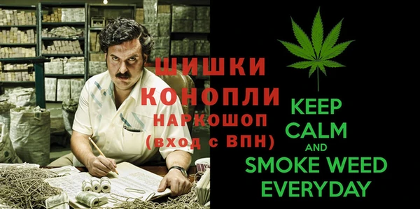 марки lsd Инта