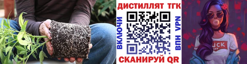 Дистиллят ТГК THC oil  Купить закладки  Алексин 