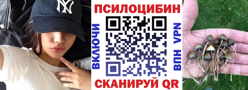 Галлюциногенные грибы Cubensis  Купить закладки  Алексин 